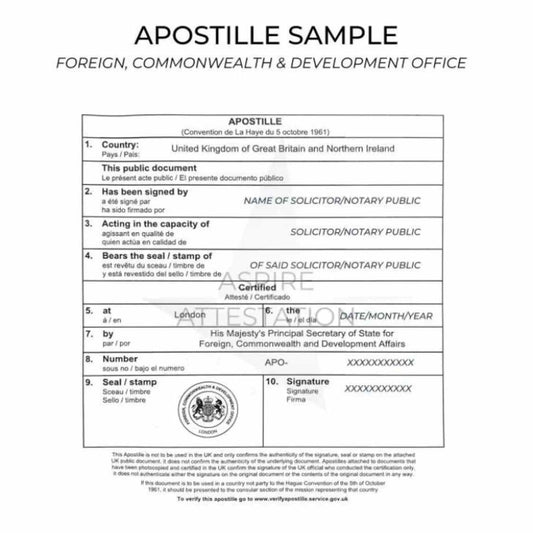 Apostille Translation