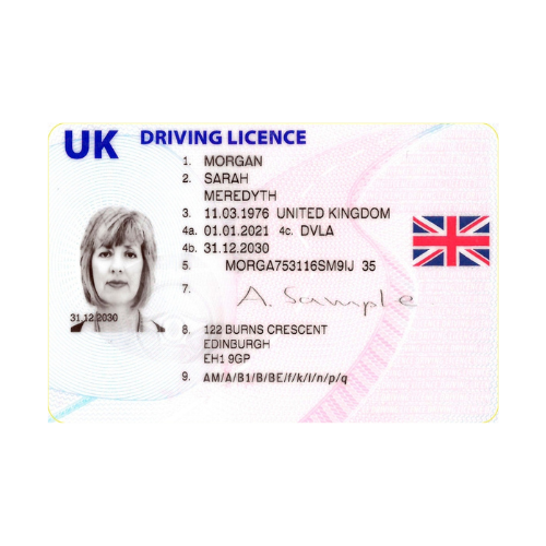 Driving License Translation